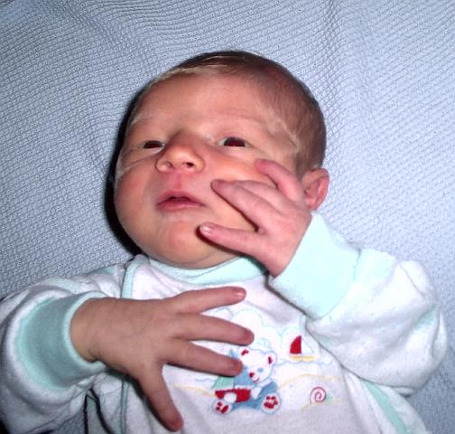 Picture 153.jpg